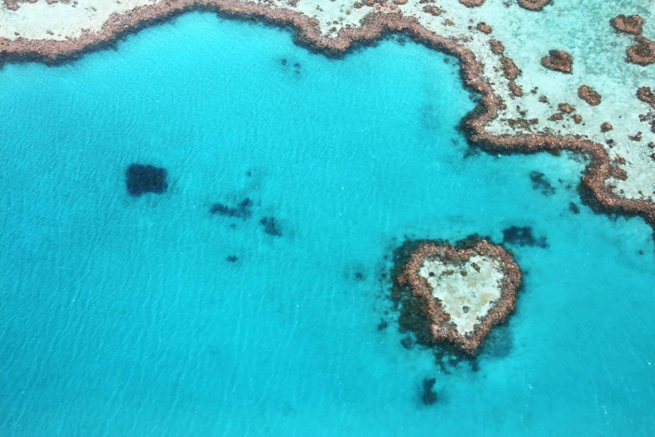 Meet Our Partner: Great Barrier Reef Foundation – 4ocean