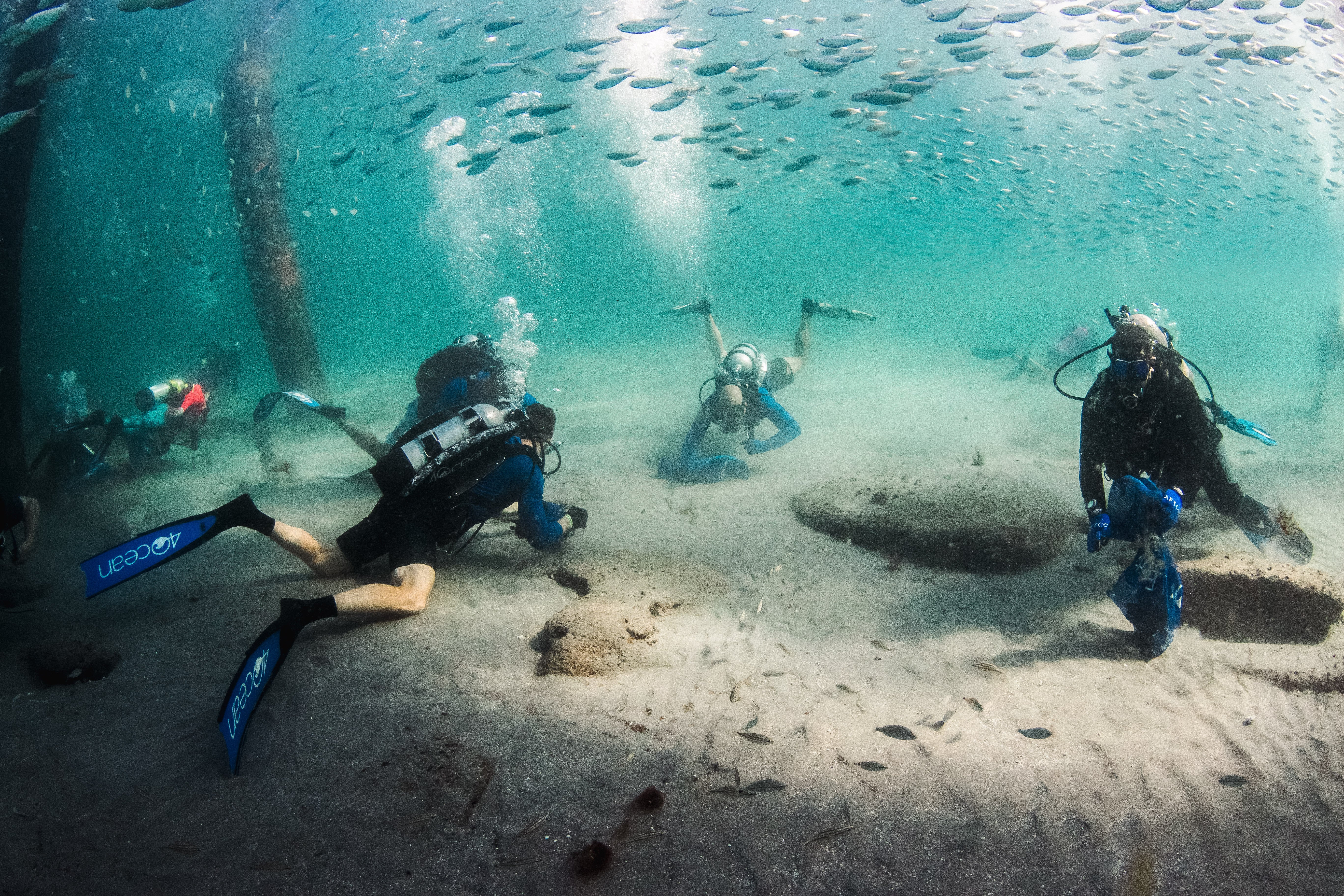 The Shocking Truth of What Is Lurking Under Florida Piers