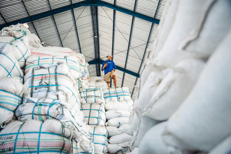 Inside 4ocean's Largest Plastic Recycling Facility & Polluted River Cleanup