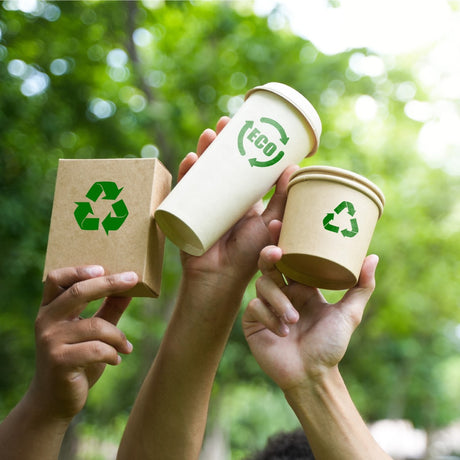 Packaging Revolution: How Sustainable Innovations Are Shaping the Beverage Industry