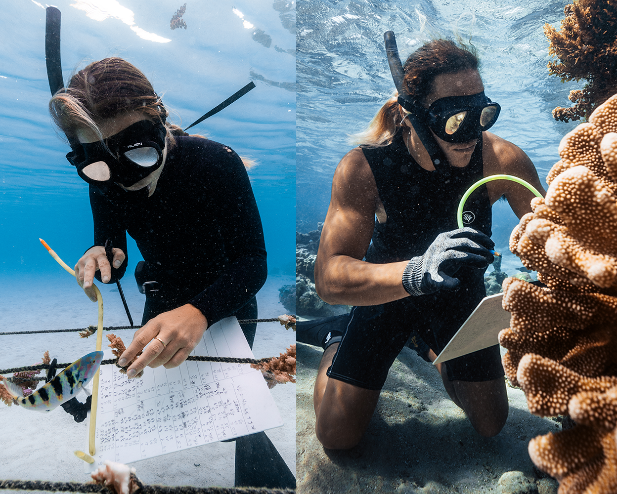 The Underwater Guardians Of French Polynesia