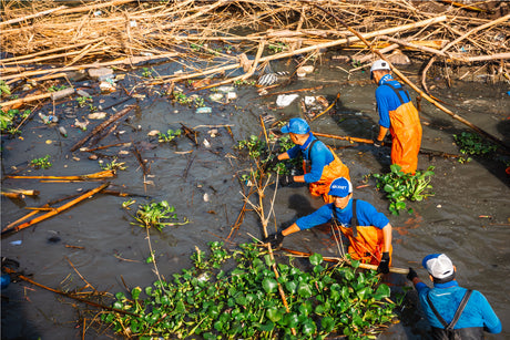 From Stagnant to Free-Flowing: Clearing a River Blockage in Bali