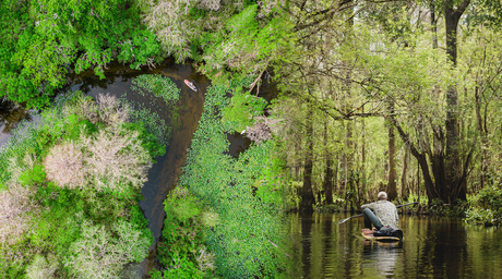 Hillsborough River: Trapped in Time