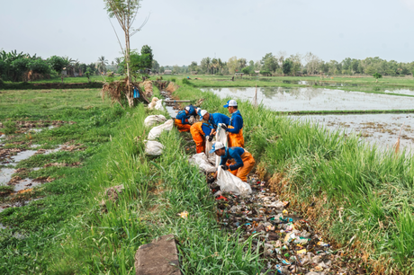 Crops Suffer from Plastic, Too