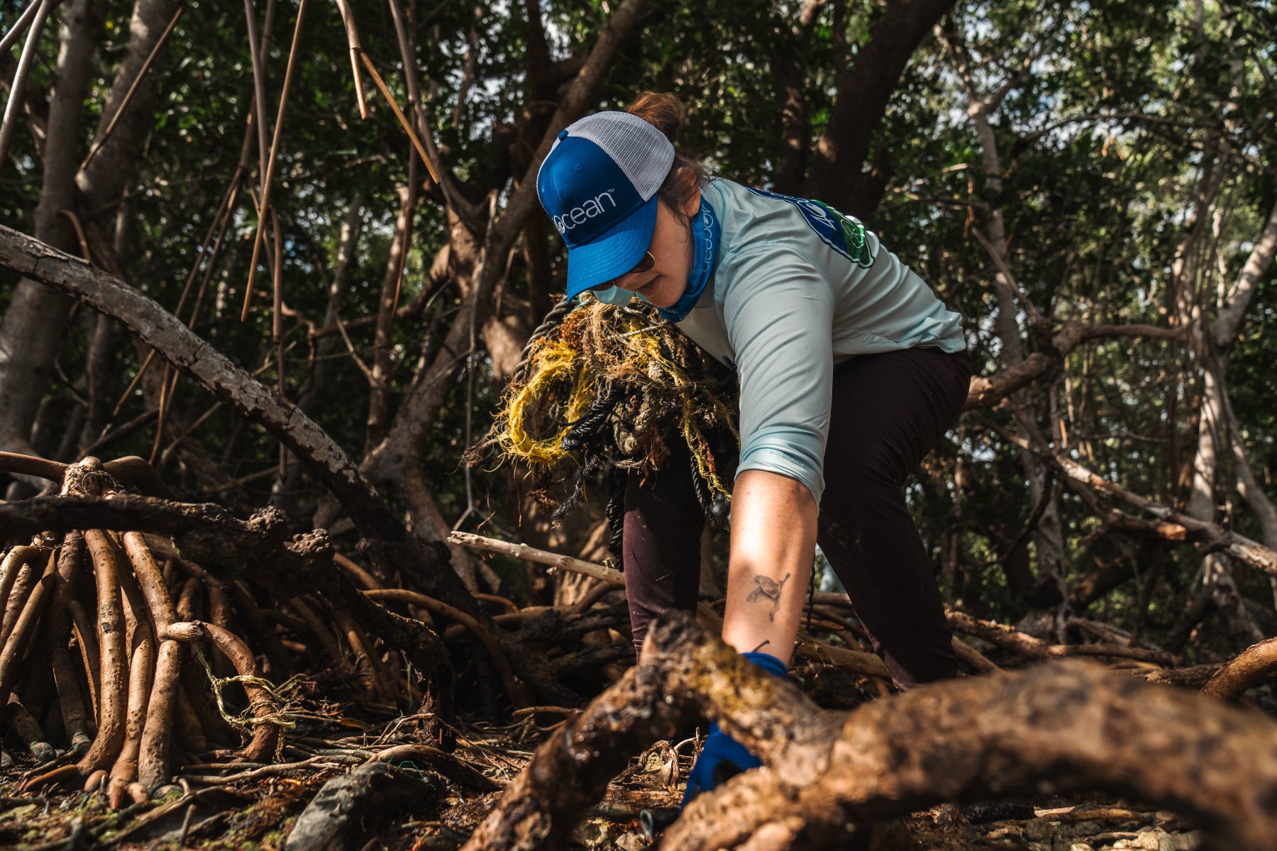 Mangroves Are Suffocating From Plastic