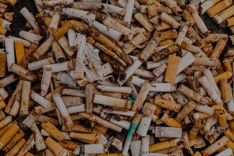 Cigarette Butts: The Ocean's Silent Pollutants