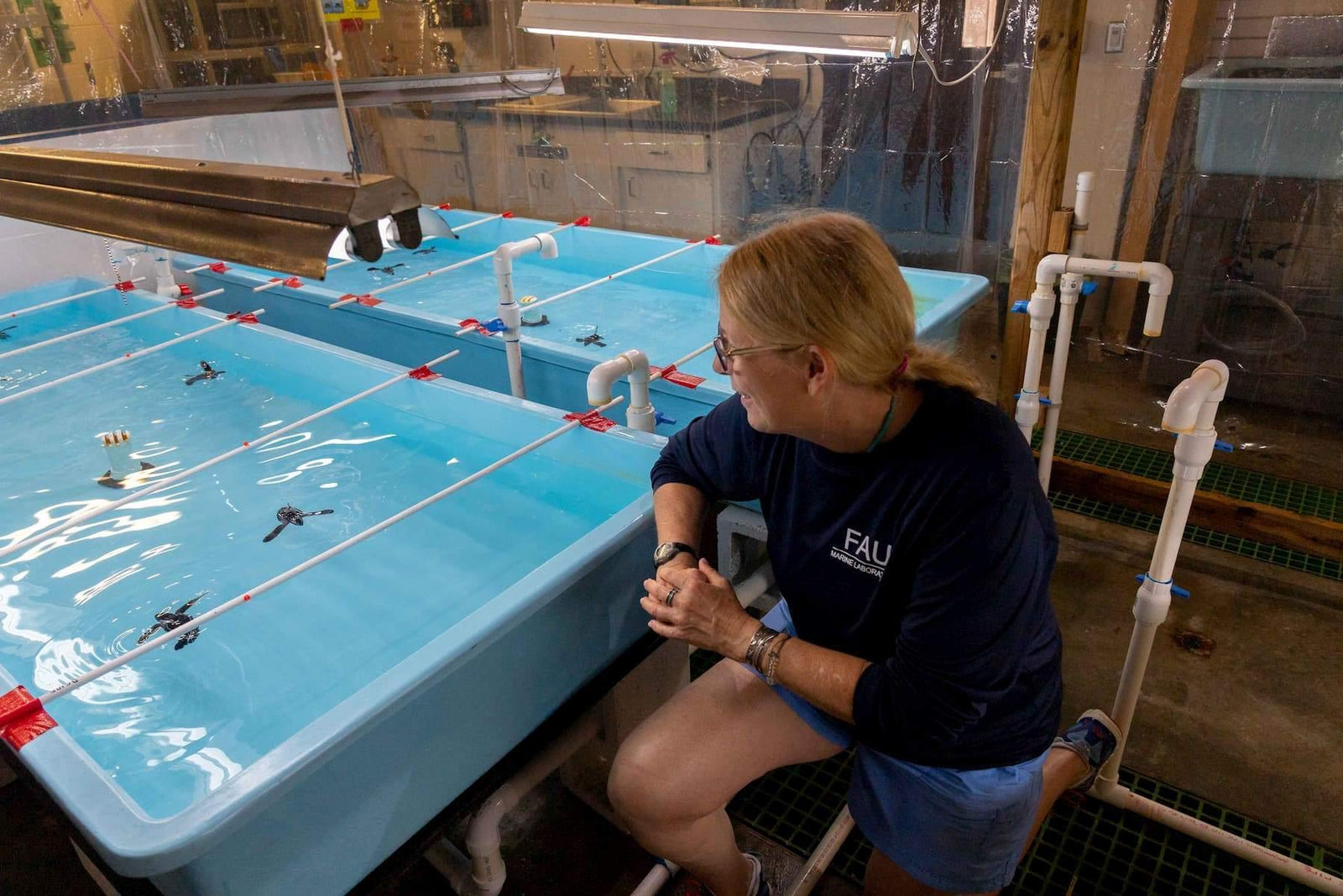 Meet Our Partner: Florida Atlantic University® Marine Research Lab - 4ocean