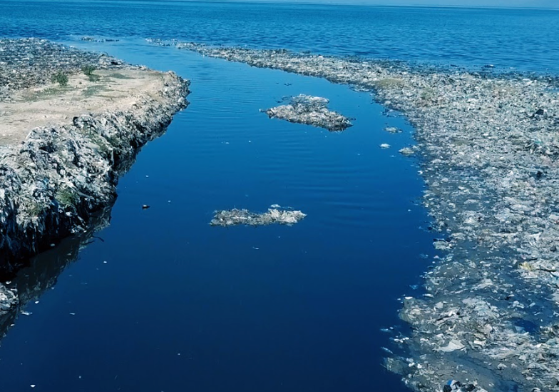 The Year of Single-Use Plastic - Let's Not Repeat It - 4ocean