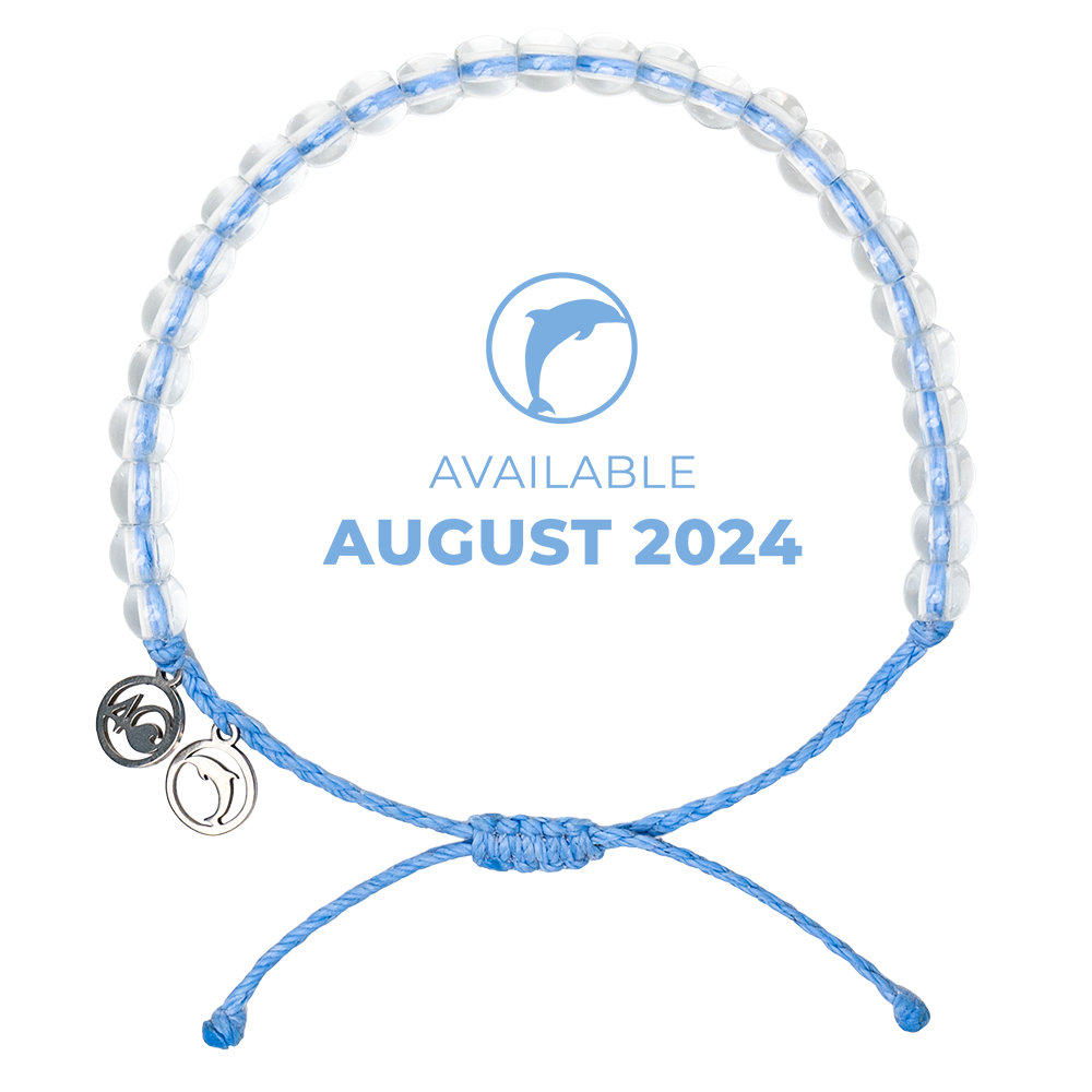 2024 Dolphin Bracelet | Limited Edition | 4ocean Bracelet of the Month