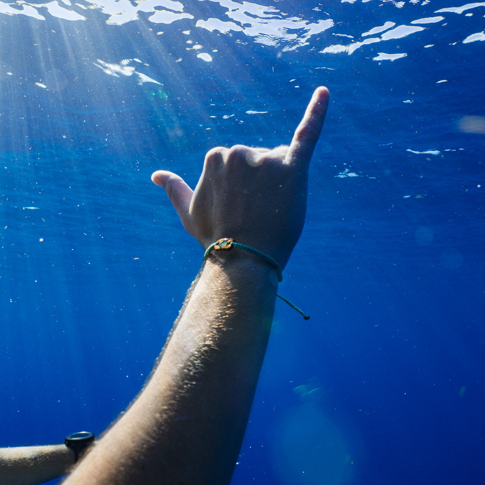 SeaTurtleCastawayBracelet