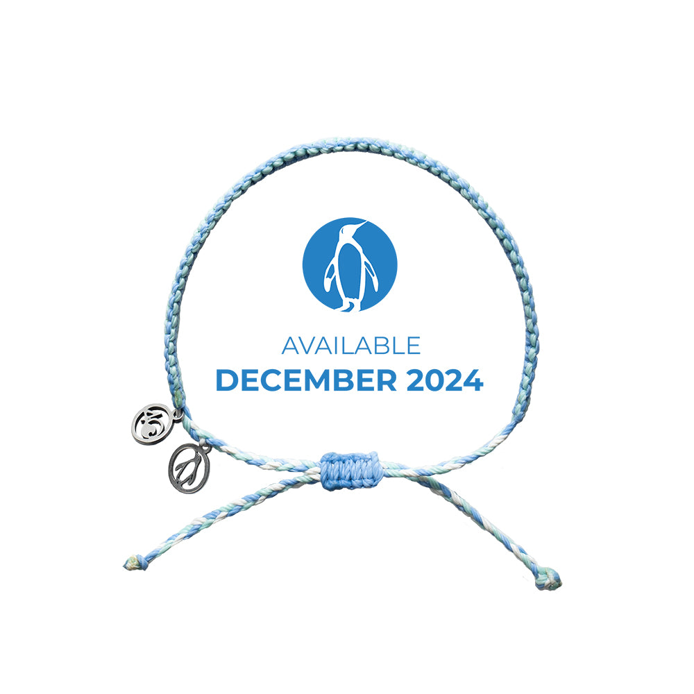 2024 Penguin Bracelet | Limited Edition | 4ocean Bracelet of the Month