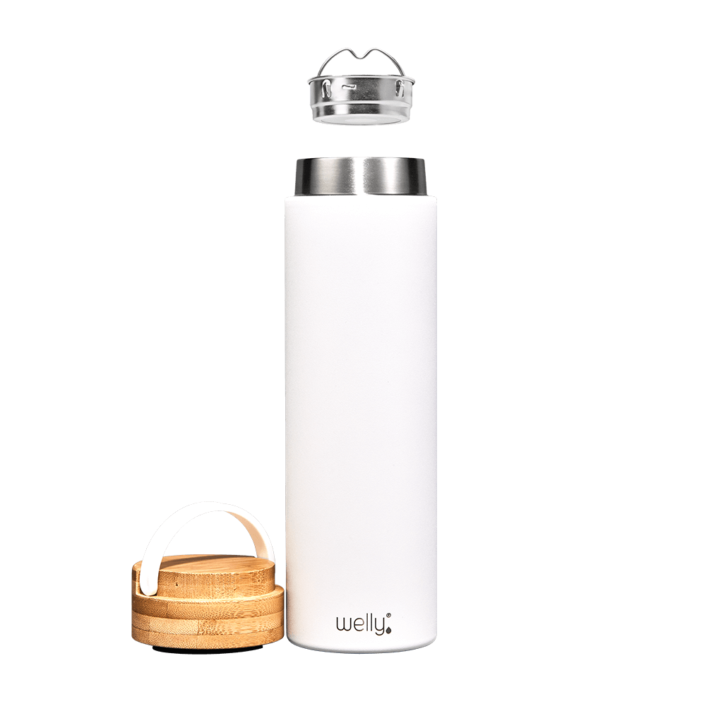 Welly Bottle Traveler 20oz