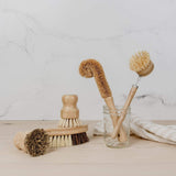 ZeroWasteStore Zero Waste Dish Brush Kit