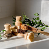 ZeroWasteStore Zero Waste Dish Brush Kit