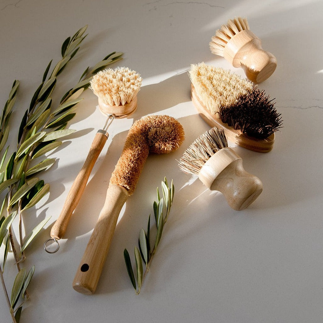 ZeroWasteStore Zero Waste Dish Brush Kit